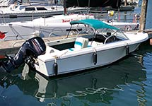 16′ Motorboat for rent